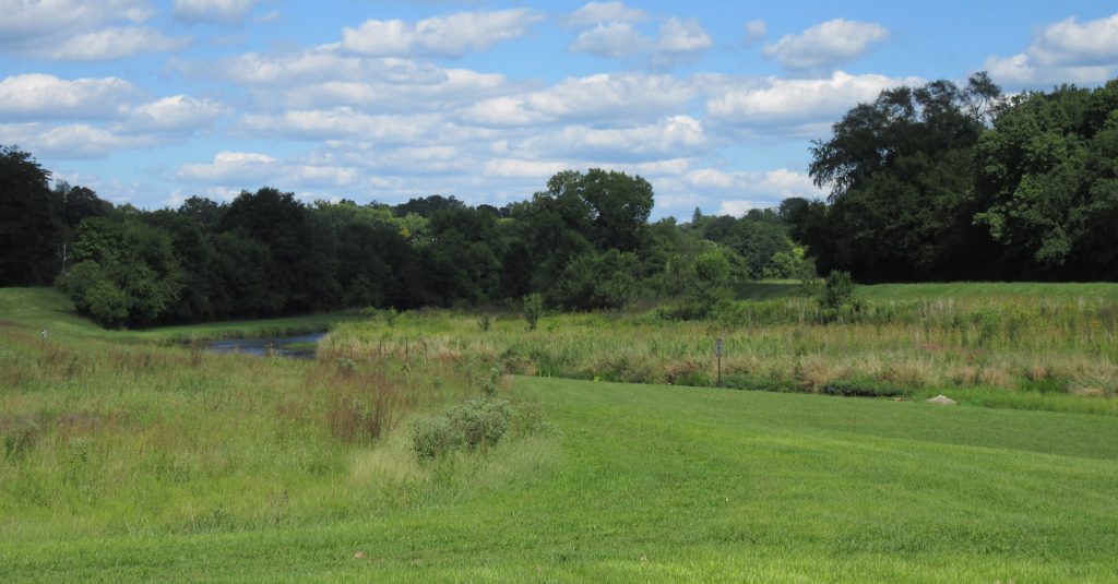 Prairies are unique and complex ecosystems. Many species of animals depend on these ecosystems for their survival.