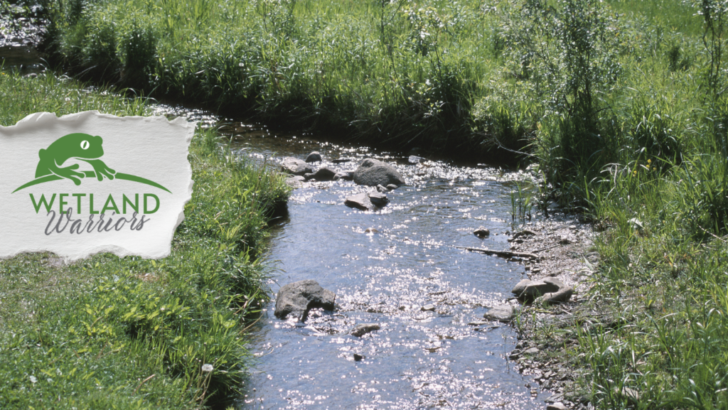 Ages: 7 - 12
Wednesday, April 15
3:30 – 5pm
George Rogers Clark Park
Deadline: April 10
FREE