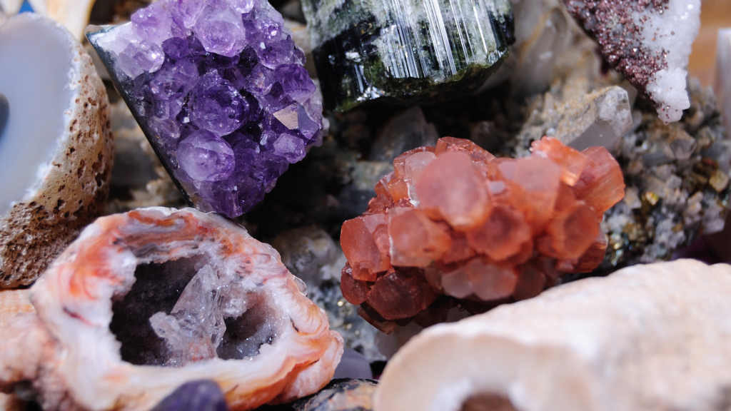 Ages: 7 - 12 (with a caregiver)
Wednesday, August 12
10 - 11am
Davidson Interpretive Center
Deadline: August 7
Fee: $10